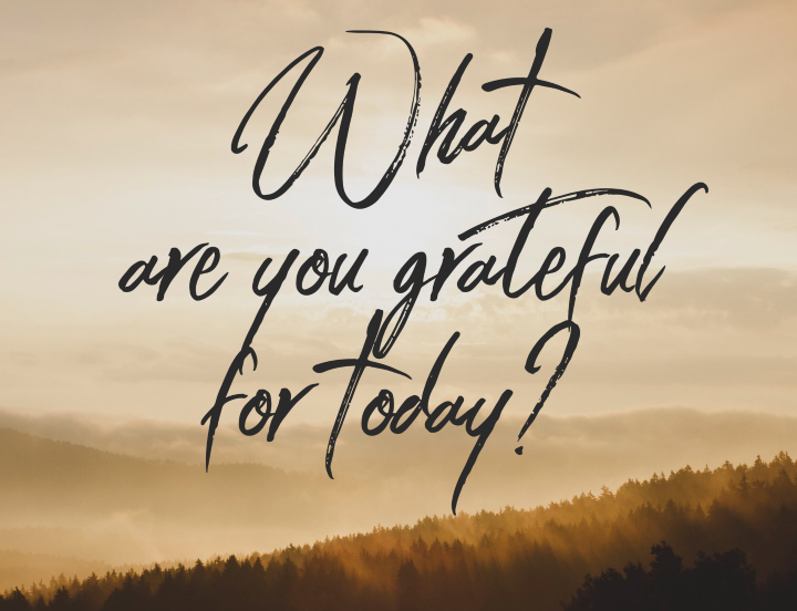 What are you grateful for today?