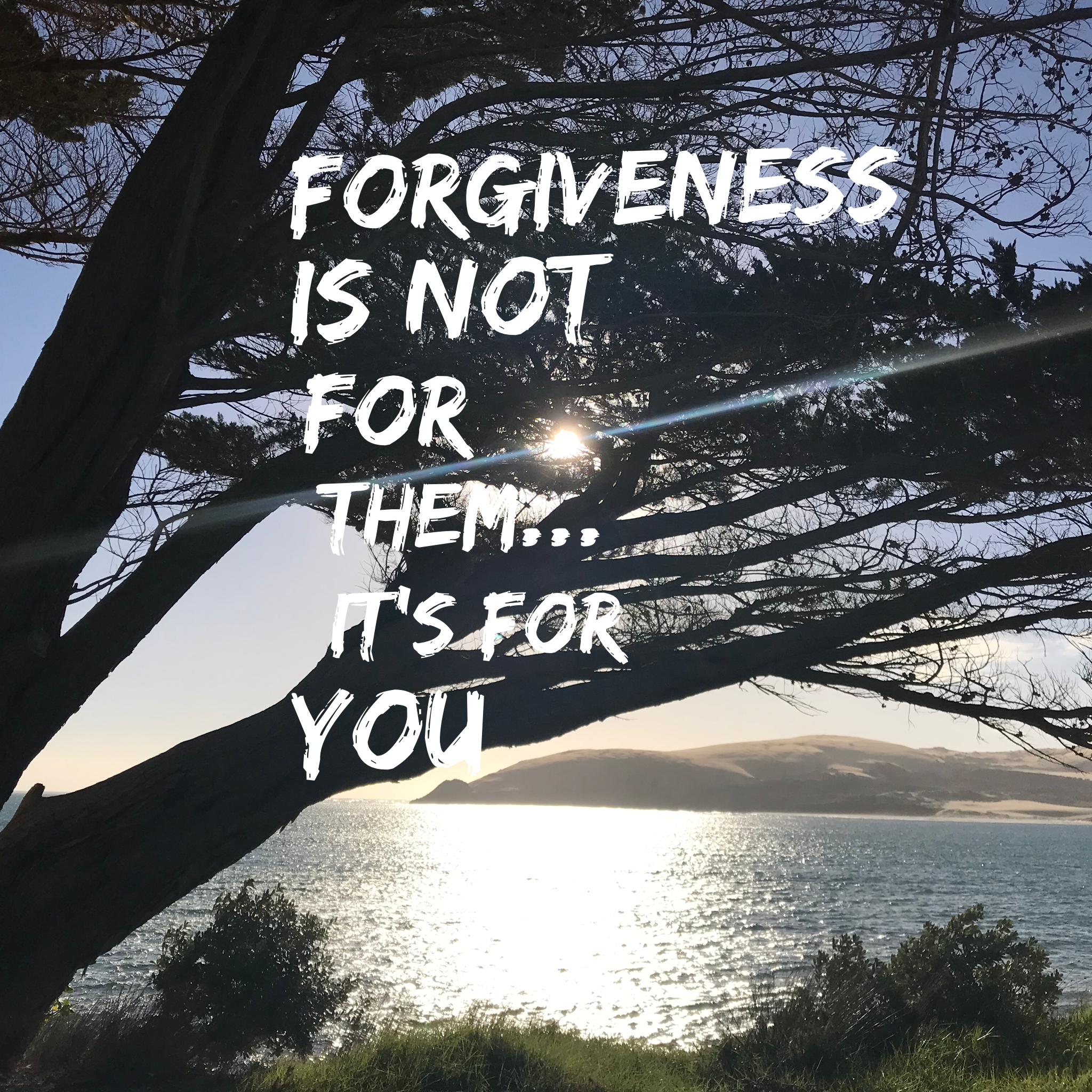 Having trouble forgiving someone? This may help…